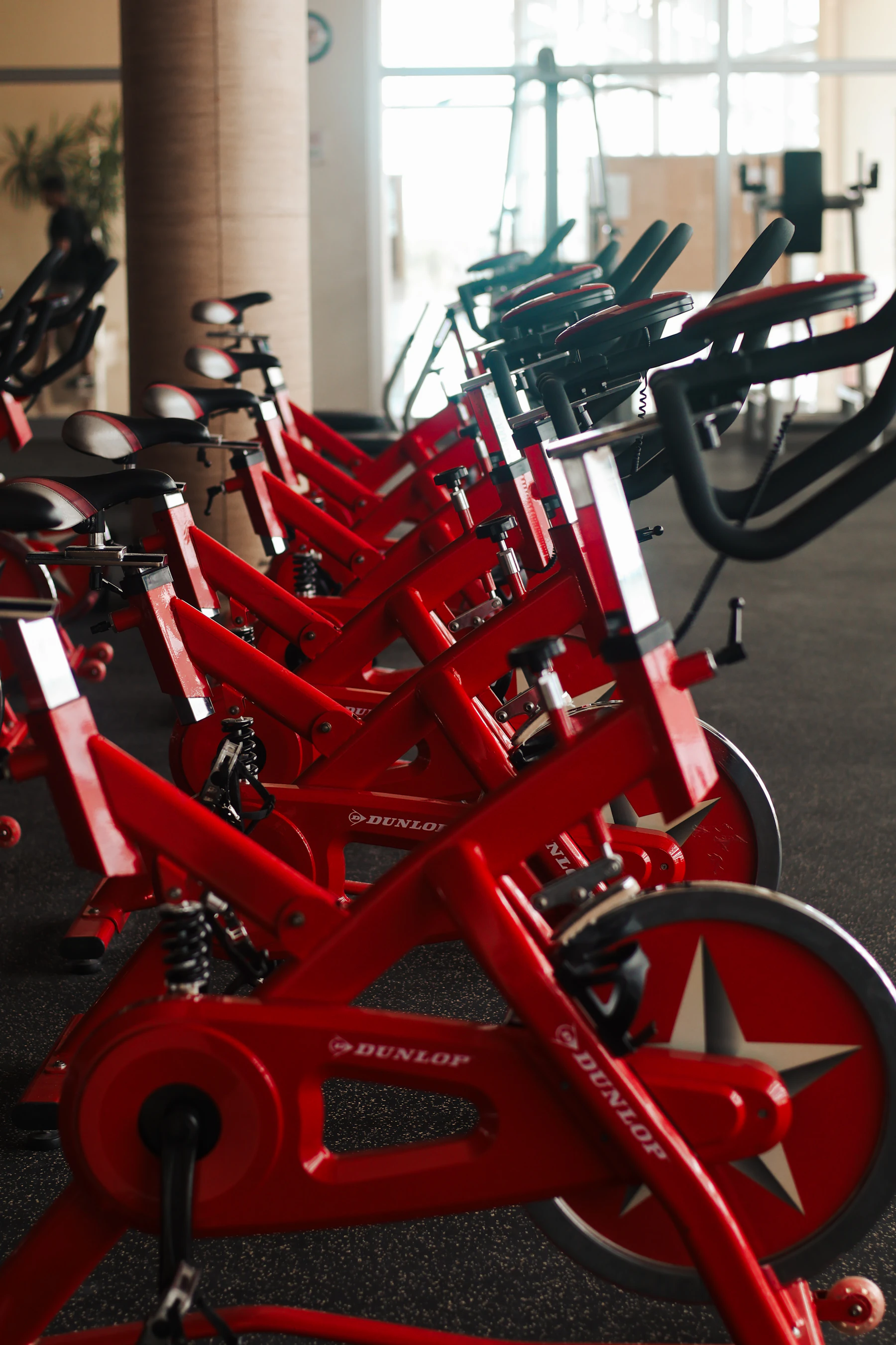 A real row of stationary bikes in a cycling studio